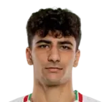 Amirmohammad Razzaghinia Amirmohammad Razzaghinia