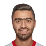 Mohammad Abu Hasheesh Mohammad Abu Hasheesh